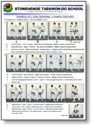 3 Step Sparring (2019).pdf